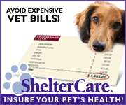 Protect your pet. ShelterCare Pet Insurance Programs